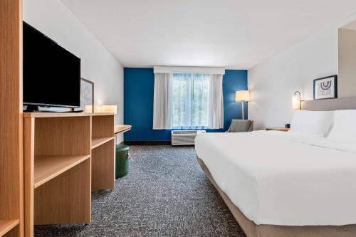 Comfort Inn & Suites Saint Augustine - image 7