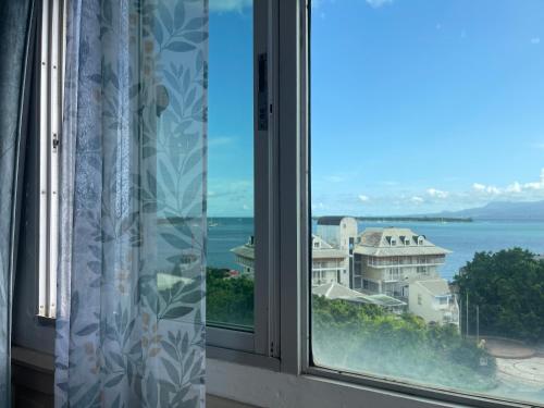 PENTHOUSE SEASIDE 10 MIN port, croisière et aéroport (PENTHOUSE SEASIDE 10 MIN port, croisiere et aeroport) in Baimbridge