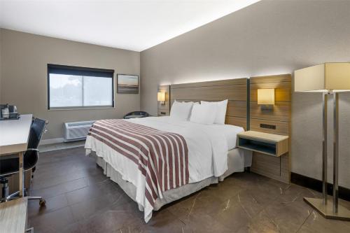 1 king bed