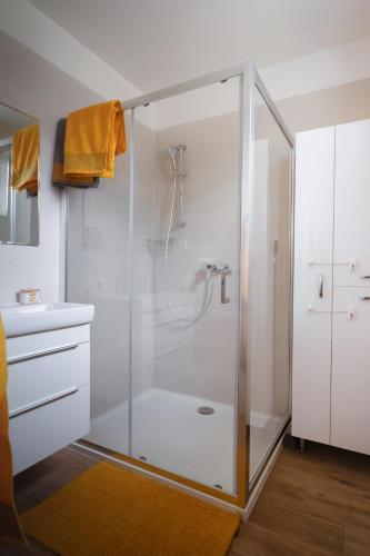 Shower, Apartman Denisa in Rokytnice nad Jizerou