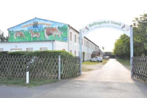 Haflingerhof Noack in Groß Klessow, Deutschland