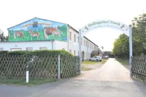 Haflingerhof Noack in Groß Klessow, Deutschland