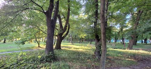 Apartament Saturna
