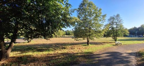 Apartament Saturna
