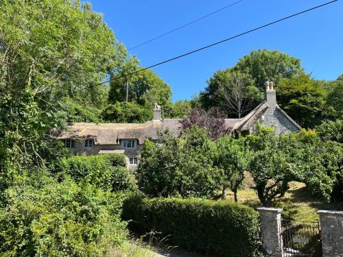 Purbeck - Dorset, Idyllic 4 Bed Thatched Cottage, Corfe Castle