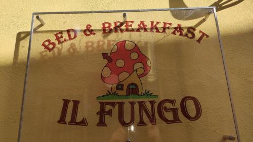 Il Fungo in Кузано-Мутрі