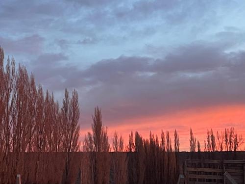 주변 환경, Carli Añelo (Carli Anelo) in 아넬로