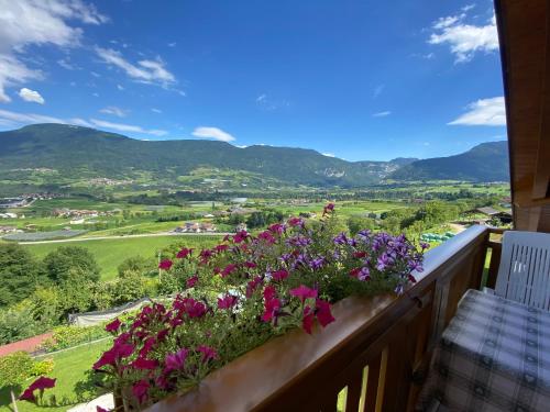 Corniola Apartment in Ponte Arche