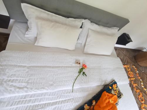 Hostal & Spa Casa Real, Baños (foto 8)