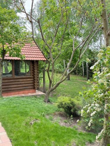 Комфортний будинок для сімейного відпочинку в Ржищеві (Комфортнии будинок для сімеиного відпочинку в Ржищеві) in Verem'Ya