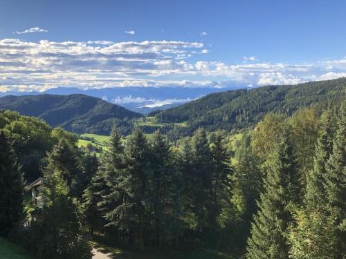One-bedroom apartment in Zirkitz, Österreich