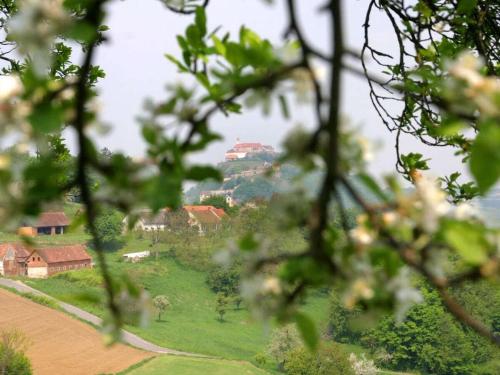 設施, Holiday home in the vineyard The Vineyard in 溫特拉姆