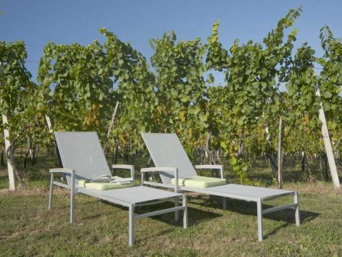 設施, Holiday home in the vineyard The Vineyard in 溫特拉姆