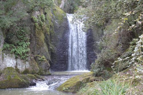 B&B Domus De Janas chambre d'hôte Laerru
