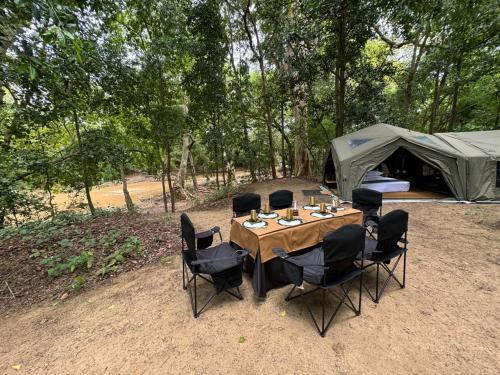 Kumana Under Canvas in Panama