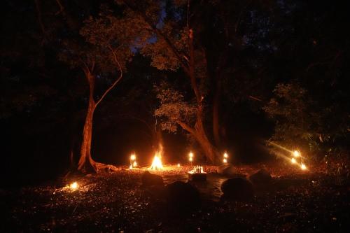 Kumana Under Canvas in Panama