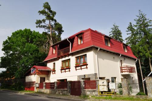 ビラ シナイア 1929