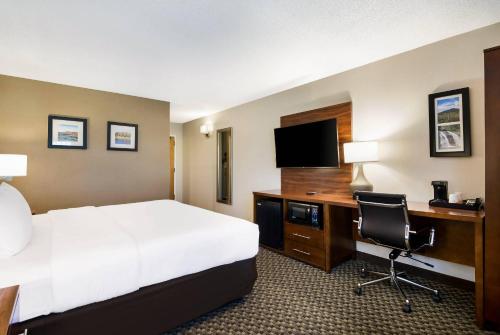 Comfort Inn Virginia Horse Center - image 12