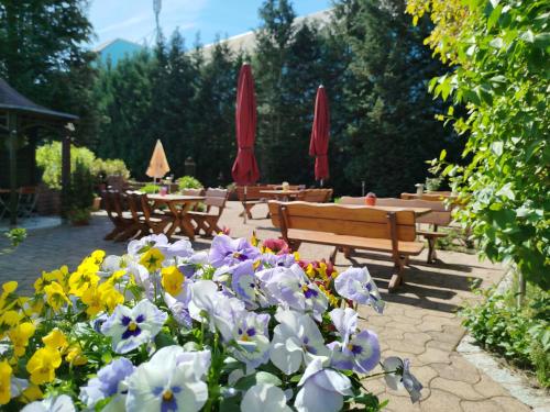 Kert, Cafe und Hotel Zum Grunen Baum in Neustadt Bei Coburg