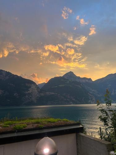 razgled, Exclusive Lake Access Villa Studio in Uri