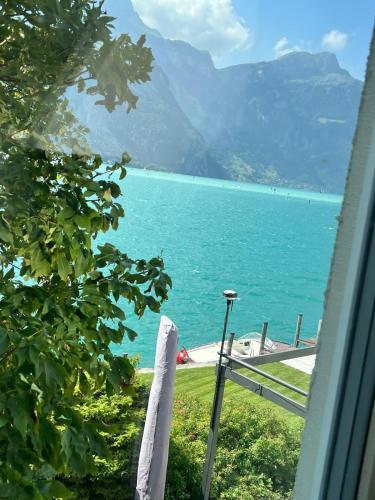 razgled, Exclusive Lake Access Villa Studio in Uri