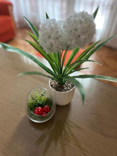 Duplex Apartment - image 13