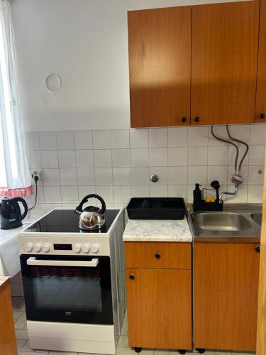 Duplex Apartment - image 9