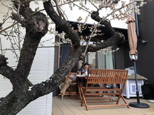 Guesthouse Gifu SUAI