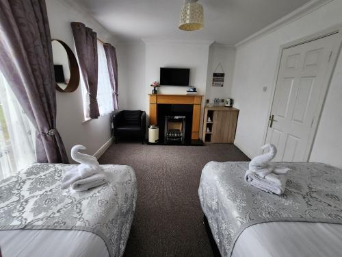 Bright elegant room park view 5