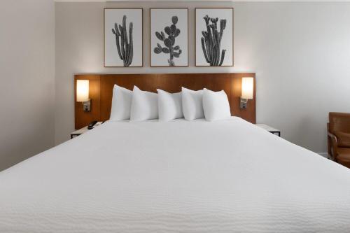 King Room with Roll-in Shower - Mobility Access/Non-Smoking