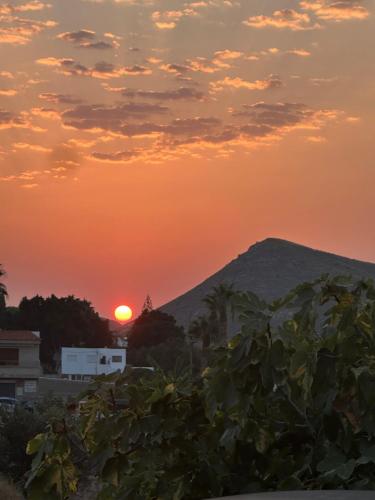 FlorCactus, Níjar (photo 10)