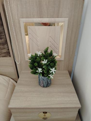 العقبة near สนามบินอะกาบา (สนามบินนานาชาติคิงฮัสเซ็น)