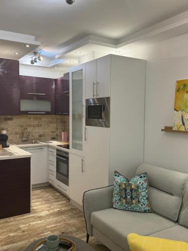 Just by Snow Sheep ApART-1 Bedroom Flat, Ruse (Foto 9)