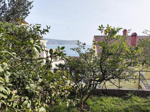 Lana 38 in Savina Monastery