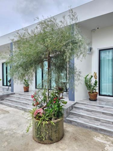 TonLiw Hotel โรงแรมต้นหลิว in ノンブアラムプー