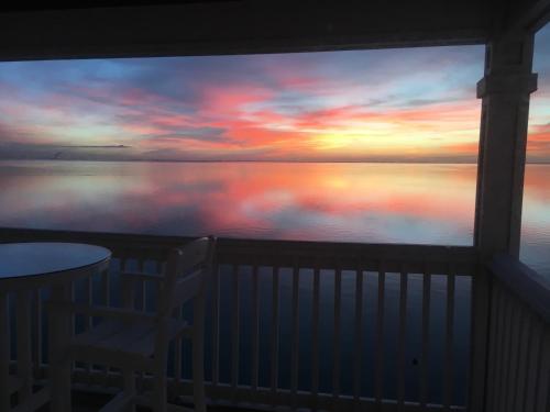 Sunny 1 Br Condo on the Water in St Petersburg, FL - 주변 환경