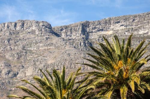 Acorn House – Cape Town, CO