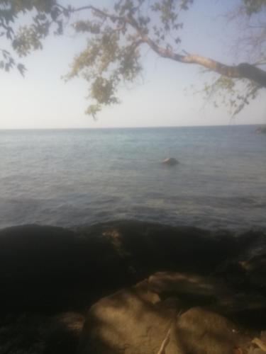 Zomba welcome lodge and camping dite in Zomba