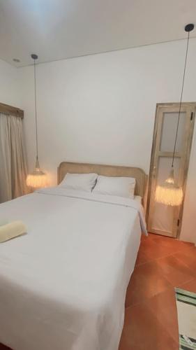 Casa Alstonia near Wedi Ombo Beach