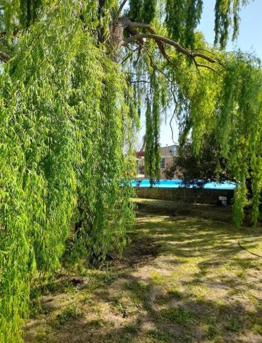 La casa de aminga dpto Castro barros La Rioja Argentina in Aimogasta