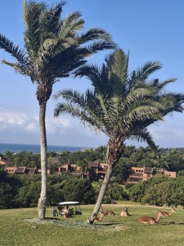 المنطقة المحيطة, San Lameer beach golf estate Luxury 4 bed villa 14207 in Sanlameer