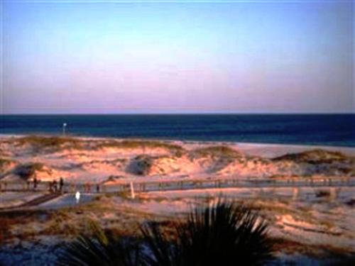 Gulf Shores 1353 - image 4