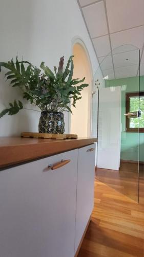 Caissa - Spacious house in quiet location, Tolmin (photo 7)