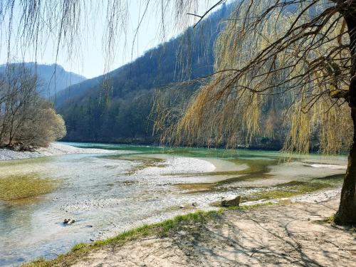 Caissa - Spacious house in quiet location, Tolmin (photo 8)