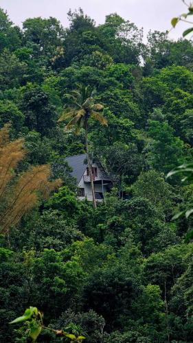 Pluto Homestay in Pambanar