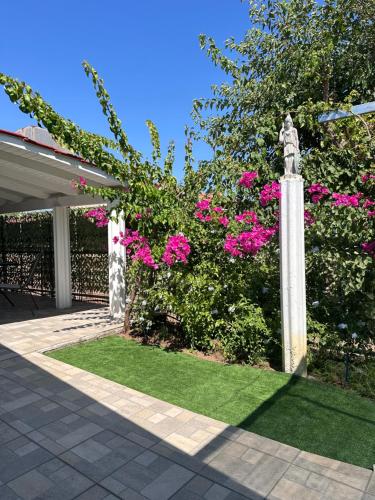 Hermes Grove in ปีร์กอส