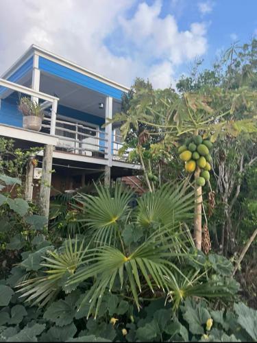 Atlantic Blue Cottages # 1 in Long Island