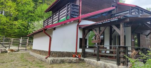 Casa Munteanu, Porumbacu de Sus (Foto 6)