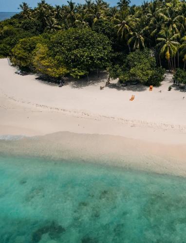 Nest by Hawks Hotel Kamadhoo Baa Atoll in Baa Atoll