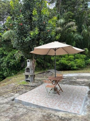 สวน, VILLA ANANAS in ซานต์ โรเซ